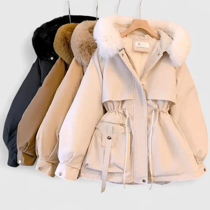 Winter Elegant Jacket – Casual, Office