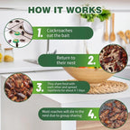 Roach Bait Discs | Child & Pet-Safe – Pest Control, Home Protection