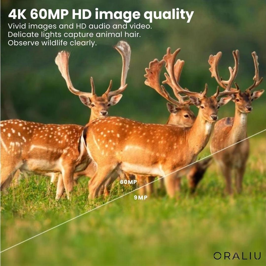 4K Ultra HD Wildlife Camera 60MP with App Control – Nature Observation, Outdoor Adventures