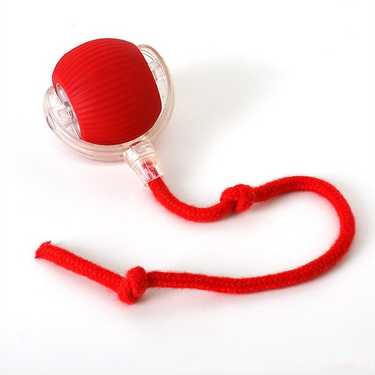 Active Rolling Ball for Dogs – Interactive Play, Exercise