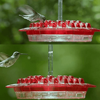 Ant Proof Hummingbird Feeder – Outdoor Hanging Perch, Garden Decor – Summer Party, Backyard Wildlife