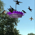 Ant Proof Hummingbird Feeder – Outdoor Hanging Perch, Garden Decor – Summer Party, Backyard Wildlife