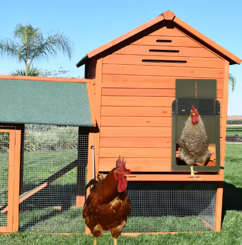 Automatic Chicken Coop Door System with Solar/Battery Options – Garden, Outdoor