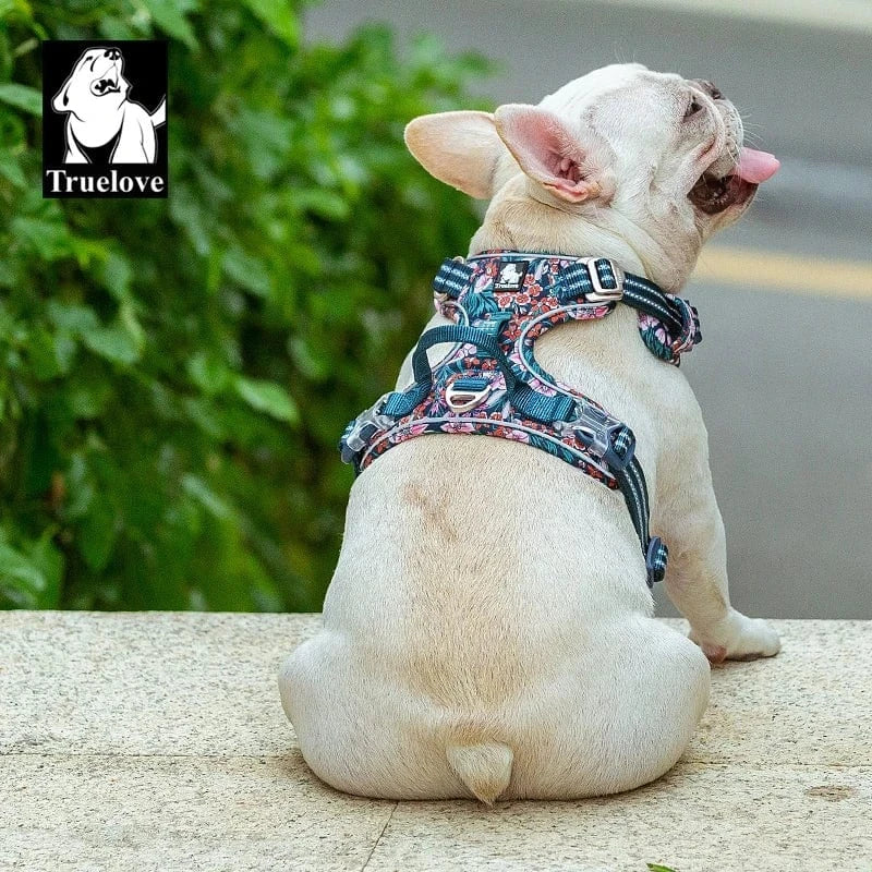 Dog Harness - Comfort, Durability - XS-XL