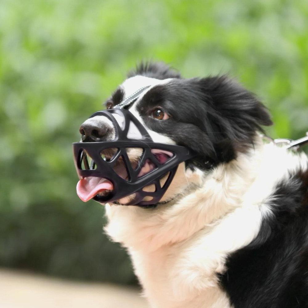 Dog Muzzle for Small/Large Dogs – Training, Travel