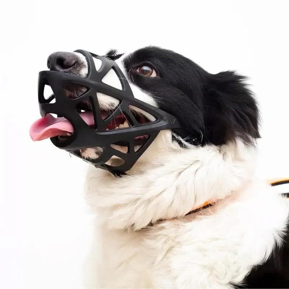 Dog Muzzle for Small/Large Dogs – Training, Travel