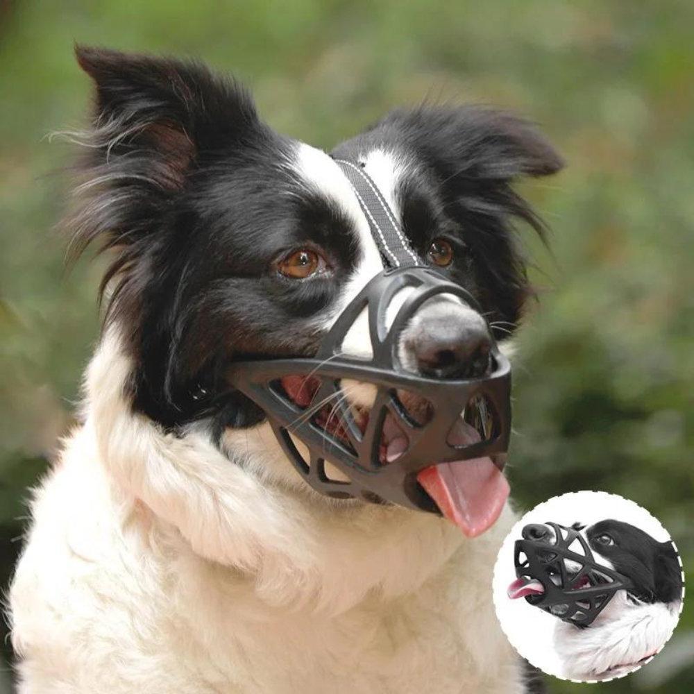 Dog Muzzle for Small/Large Dogs – Training, Travel