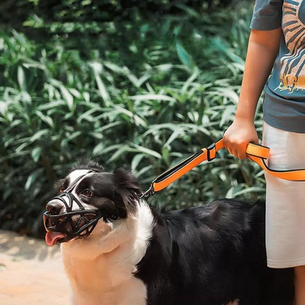 Dog Muzzle for Small/Large Dogs – Training, Travel