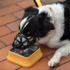 Dog Muzzle for Small/Large Dogs – Training, Travel