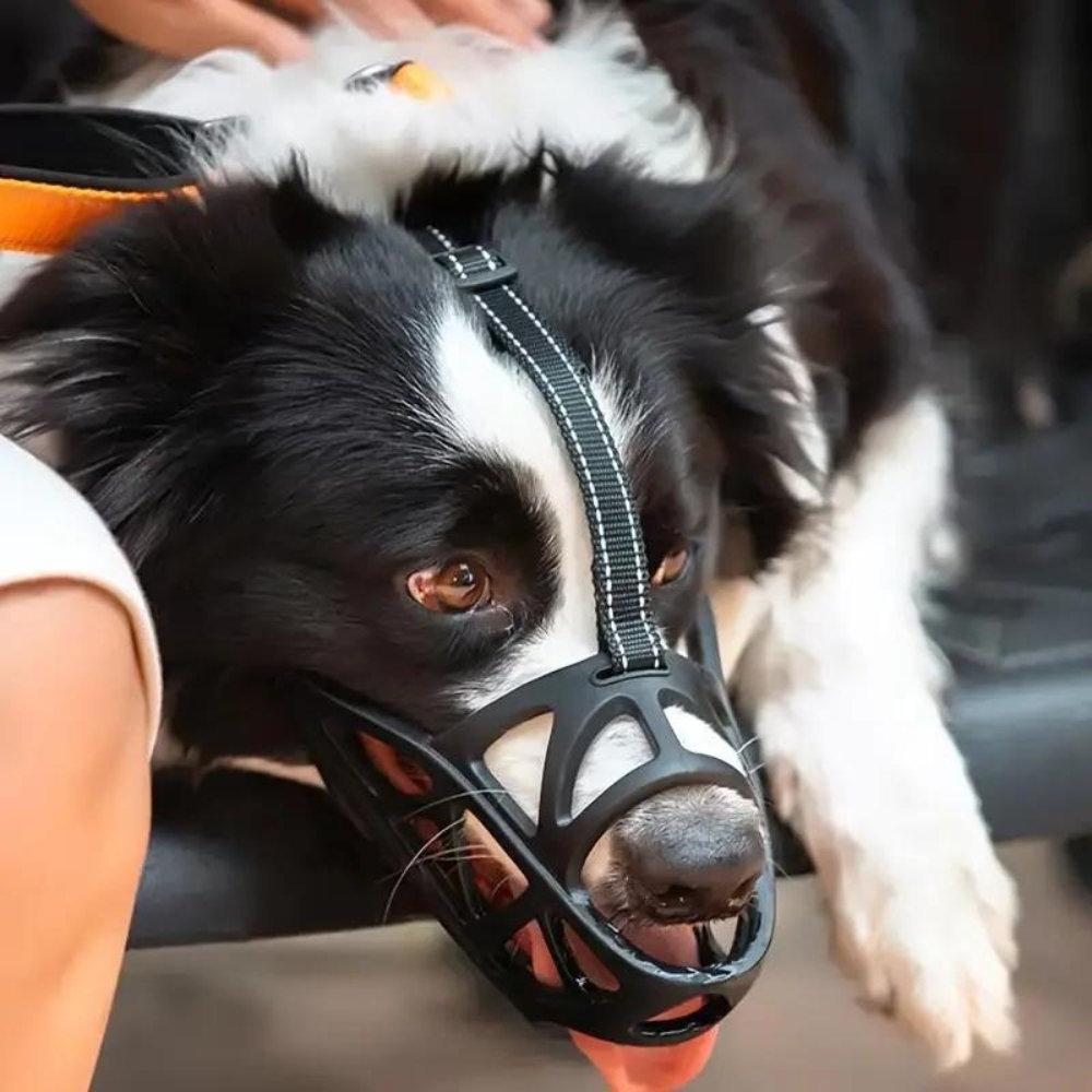 Dog Muzzle for Small/Large Dogs – Training, Travel