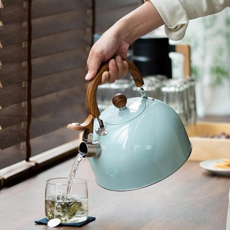 Edelstahl-Whistling Kettle mit isoliertem Griff – Kochen, Camping