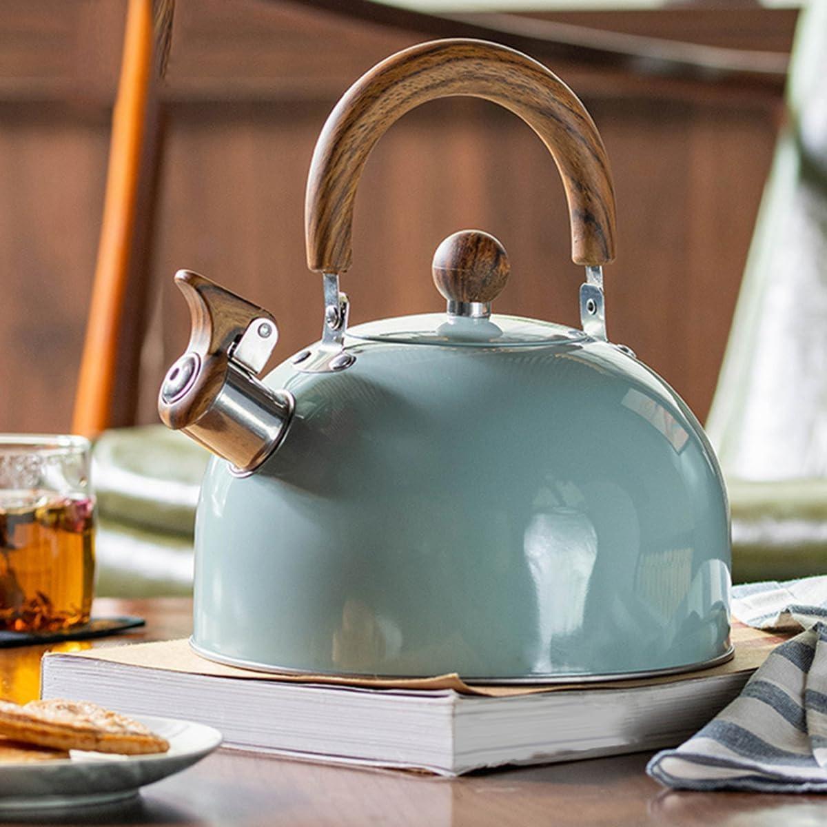 Edelstahl-Whistling Kettle mit isoliertem Griff – Kochen, Camping