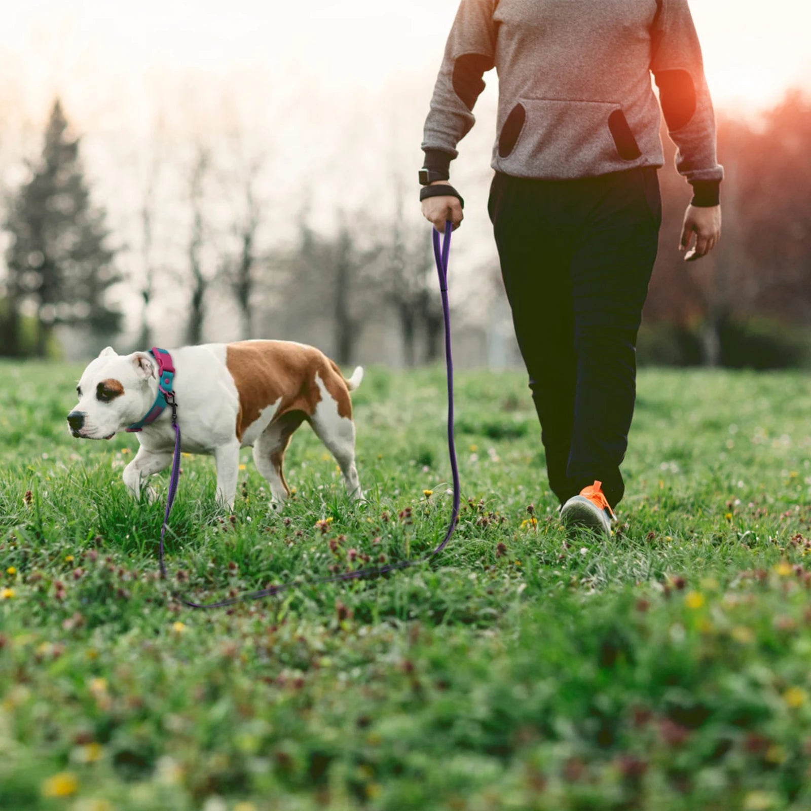 Extra Long Waterproof Dog Lead with Comfy Handle – Training, Outdoor