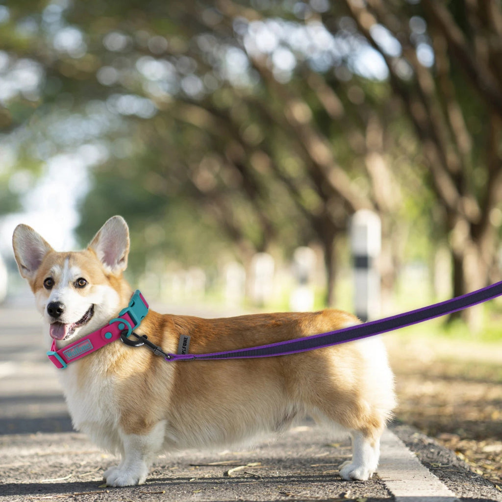 Extra Long Waterproof Dog Lead with Comfy Handle – Training, Outdoor