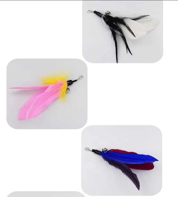 Interactive Cat Fishing Rod with Feather Refills – Engaging Play, Fun Activity