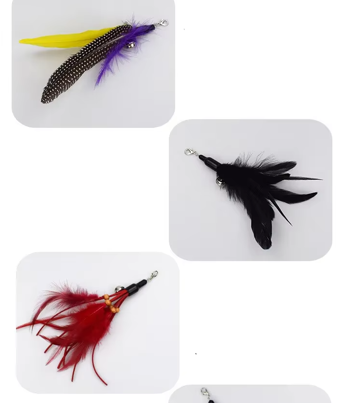 Interactive Cat Fishing Rod with Feather Refills – Engaging Play, Fun Activity