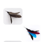 Interactive Cat Fishing Rod with Feather Refills – Engaging Play, Fun Activity