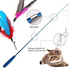 Interactive Cat Fishing Rod with Feather Refills – Engaging Play, Fun Activity