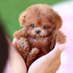 Interactive Plush Dog with Realistic Movements – Fun for Kids