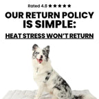 Kobolaf – Ideal for Home Office, Gaming