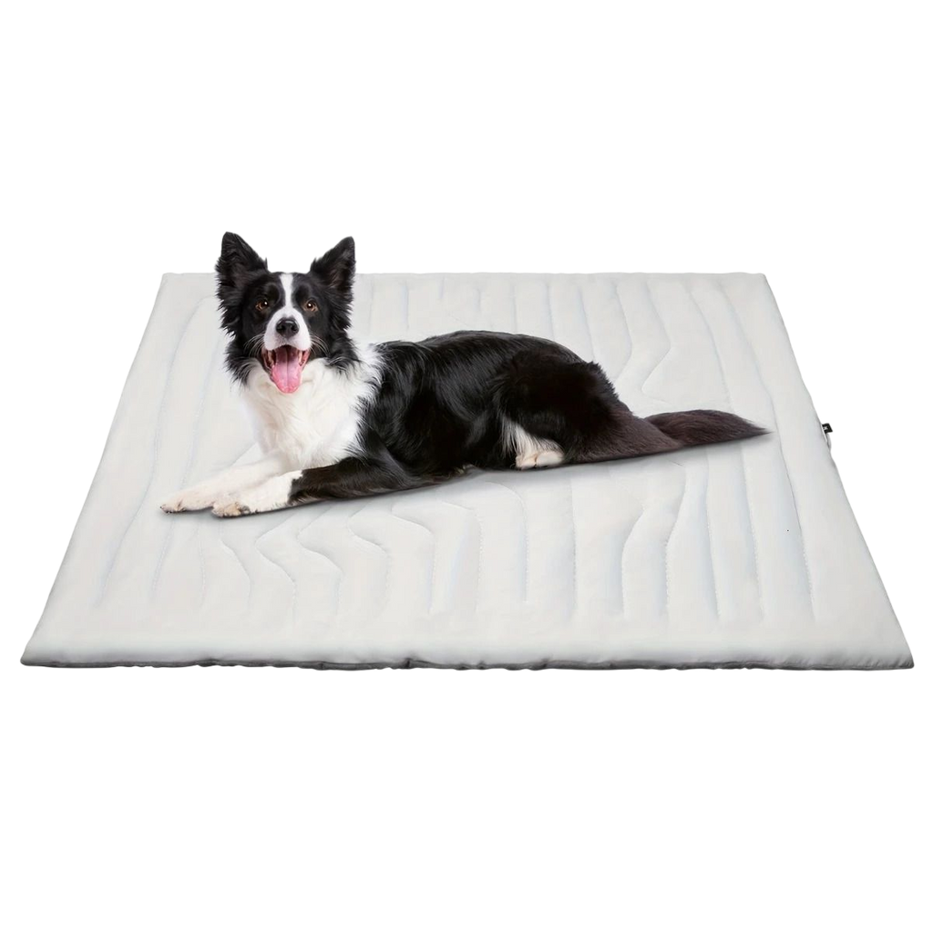 Kobolaf – Ideal for Home Office, Gaming
