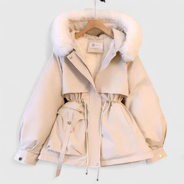 Winter Elegant Jacket – Casual, Office