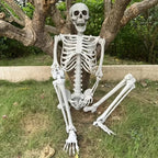 Life-size Poseable Halloween Skeleton Decoration – Outdoor Garden, Party Display