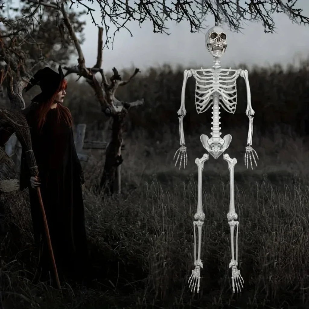 Life-size Poseable Halloween Skeleton Decoration – Outdoor Garden, Party Display