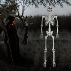 Life-size Poseable Halloween Skeleton Decoration – Outdoor Garden, Party Display