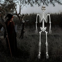 Life-size Poseable Halloween Skeleton Decoration – Outdoor Garden, Party Display