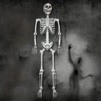 Life-size Poseable Halloween Skeleton Decoration – Outdoor Garden, Party Display