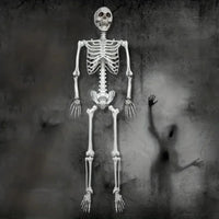Life-size Poseable Halloween Skeleton Decoration – Outdoor Garden, Party Display