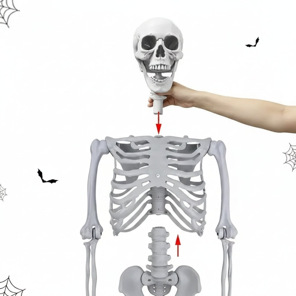 Life-size Poseable Halloween Skeleton Decoration – Outdoor Garden, Party Display
