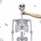 Life-size Poseable Halloween Skeleton Decoration – Outdoor Garden, Party Display