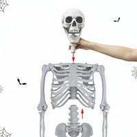 Life-size Poseable Halloween Skeleton Decoration – Outdoor Garden, Party Display