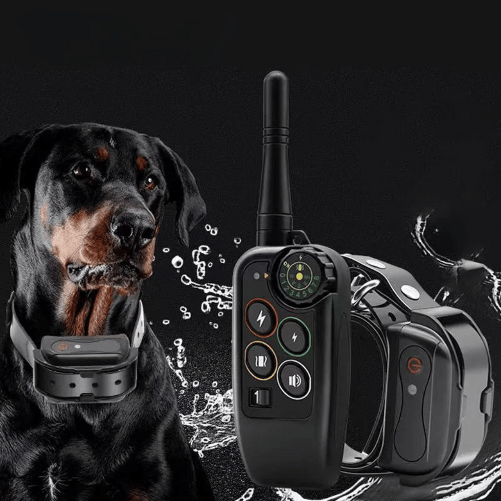 Long Range 1000m Waterproof Dog Training E-Collar – Obedience, Behavior Correction