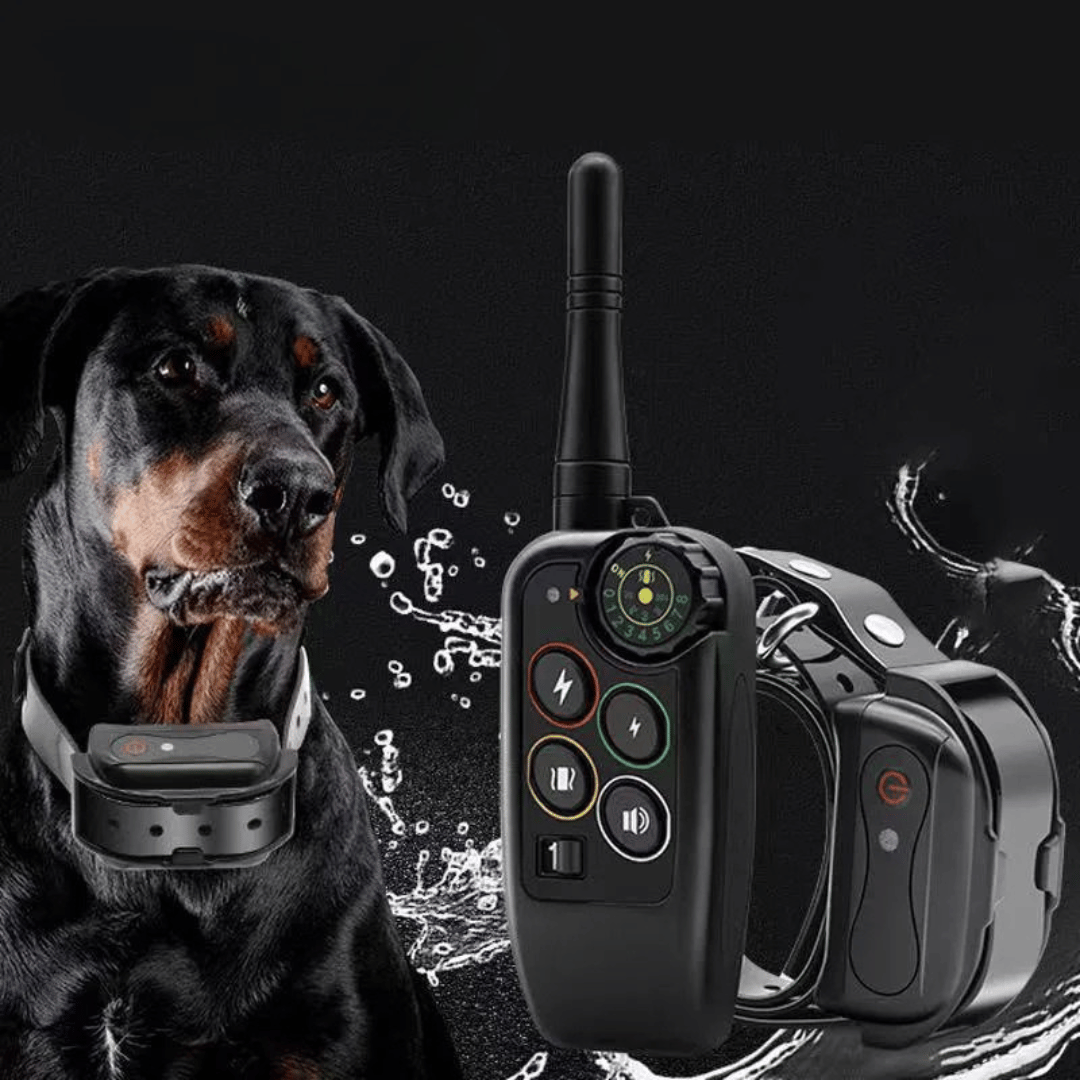 Long Range 1000m Waterproof Dog Training E-Collar – Obedience, Behavior Correction