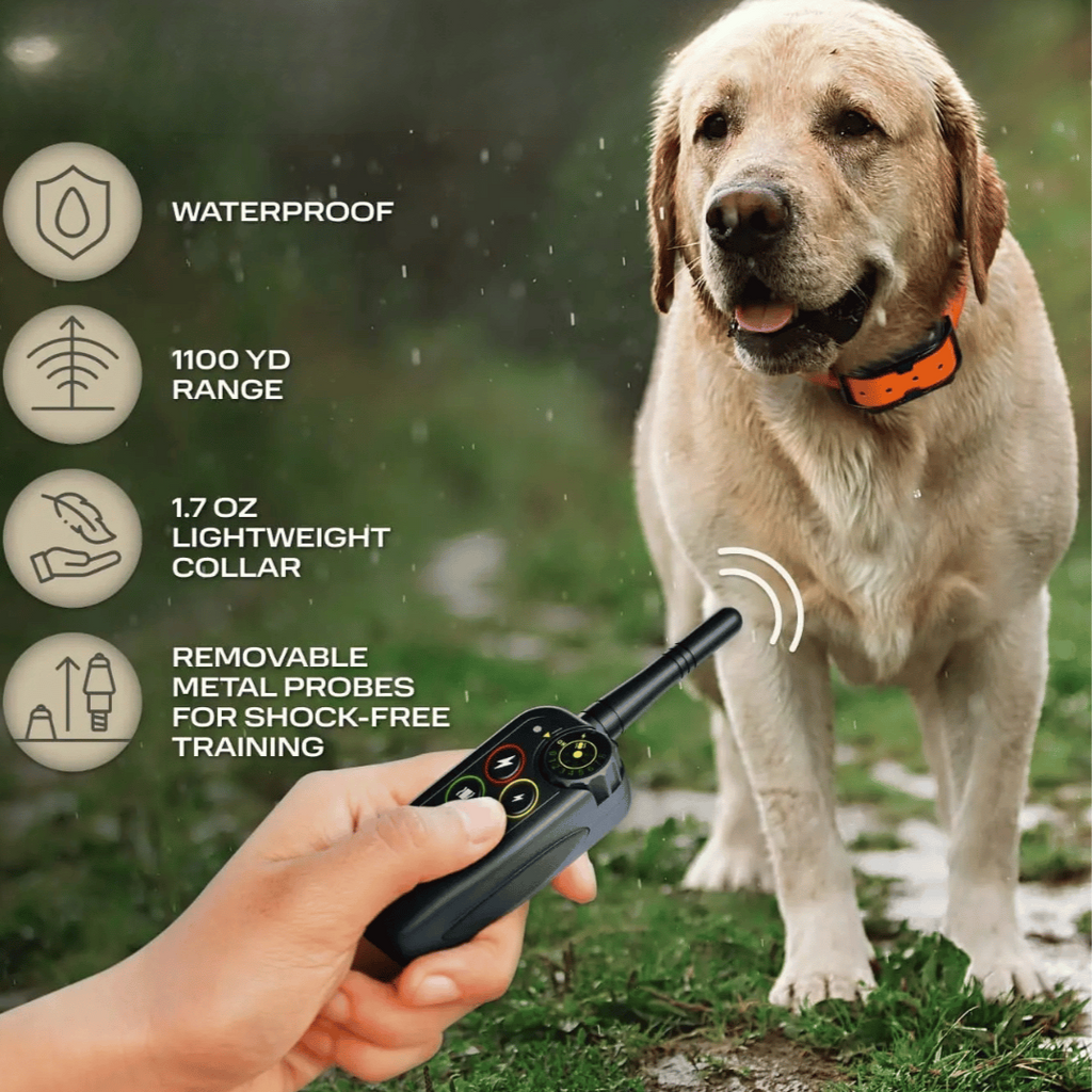 Long Range 1000m Waterproof Dog Training E-Collar – Obedience, Behavior Correction