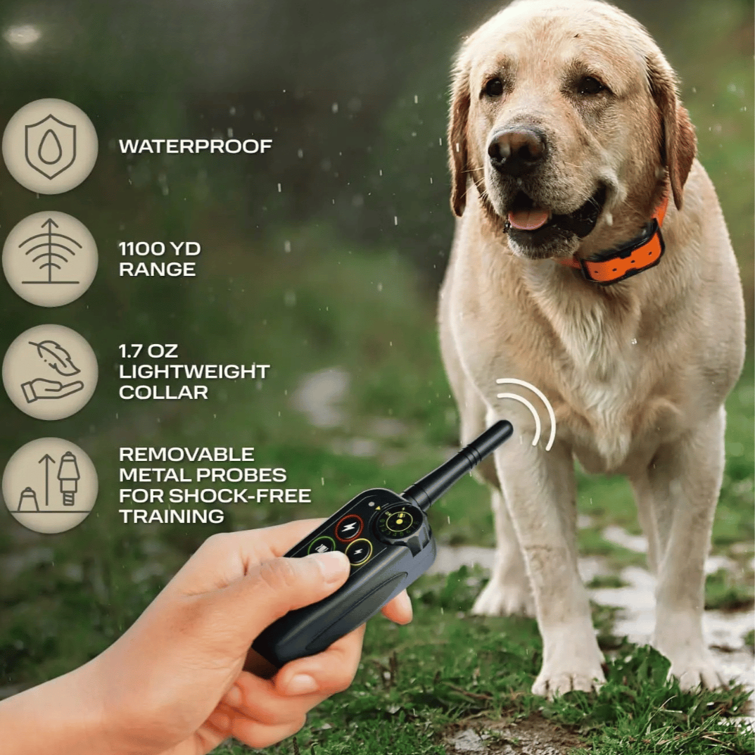 Long Range 1000m Waterproof Dog Training E-Collar – Obedience, Behavior Correction