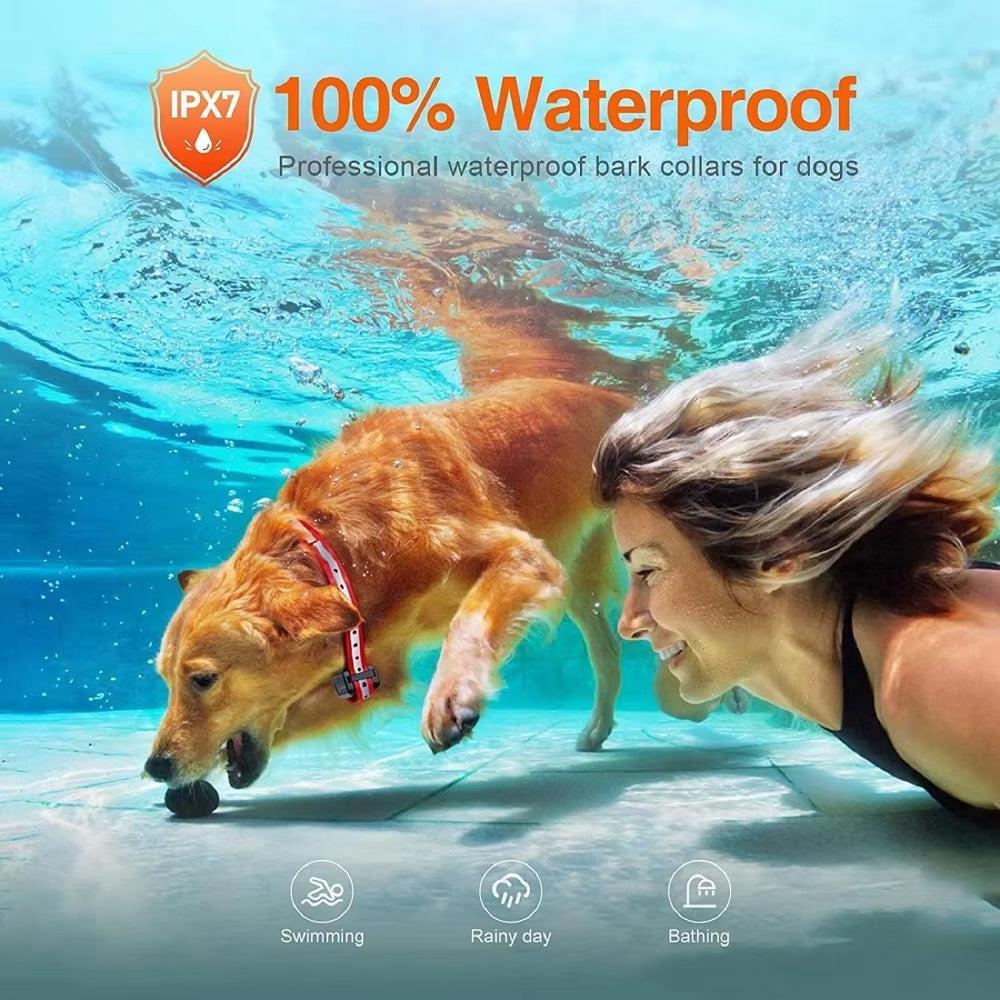 PawGofu Pet Supplies – Training, Travel