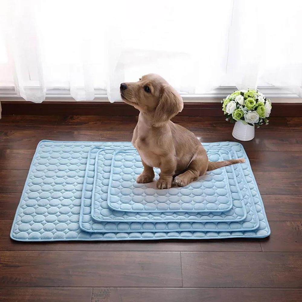 Pawolaf Pet Supplies – Training, Travel