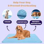 Pawolaf Pet Supplies – Training, Travel