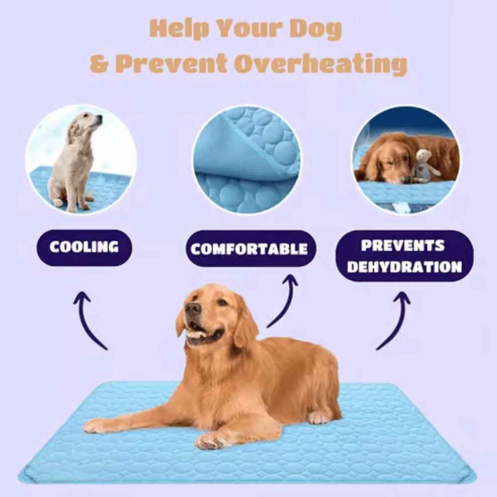 Pawolaf Pet Supplies – Training, Travel