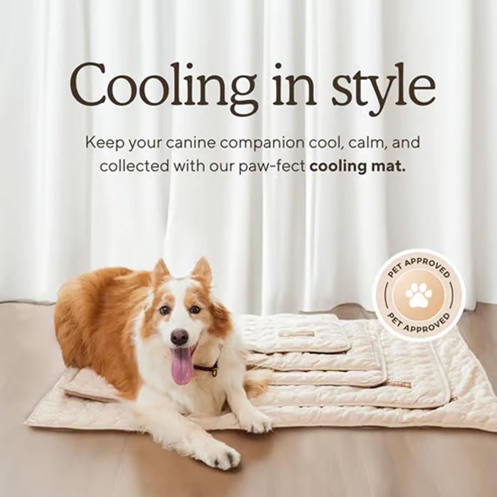 Pawolaf Pet Supplies – Training, Travel