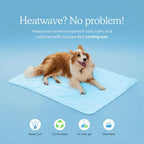 Pawolaf Pet Supplies – Training, Travel
