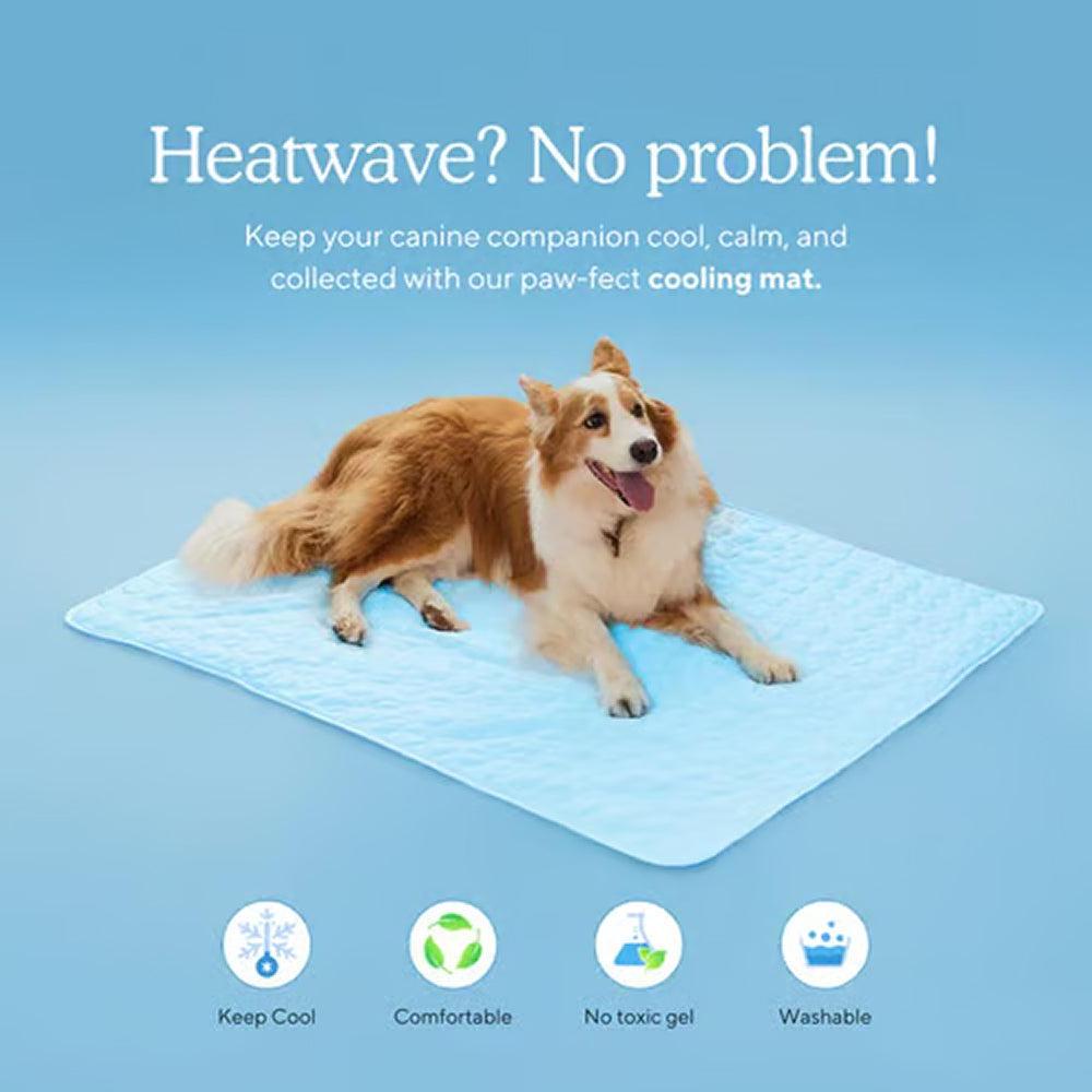 Pawolaf Pet Supplies – Training, Travel