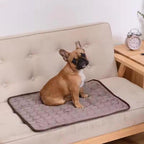 Pawolaf Pet Supplies – Training, Travel