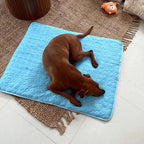 Pawolaf Pet Supplies – Training, Travel