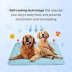 Pawolaf Pet Supplies – Training, Travel