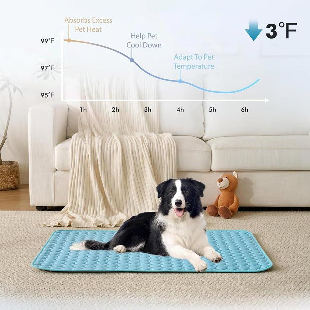 Pawolaf Pet Supplies – Training, Travel
